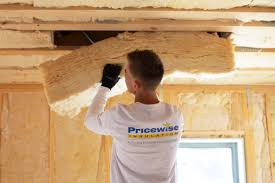 Best Eco-Friendly or Green Insulation Solutions  in USA